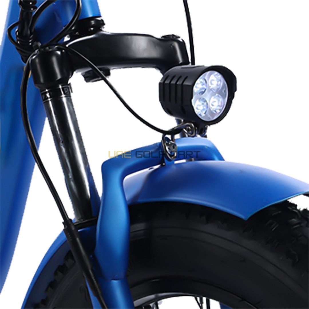 24-Inch Electric Trike Fat Tire 3 Wheel Cargo Electric Bike With Basket - Electric Bikes - Photo 11 | UAE Golf Cart