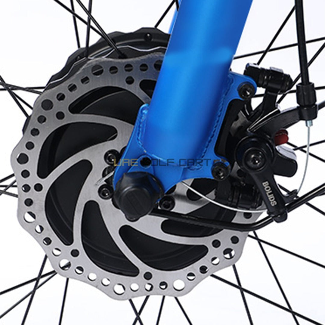 24-Inch Electric Trike Fat Tire 3 Wheel Cargo Electric Bike With Basket - Electric Bikes - Photo 12 | UAE Golf Cart