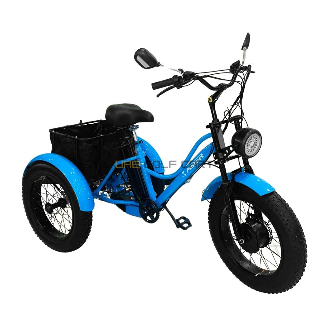24-Inch Electric Trike Fat Tire 3 Wheel Cargo Electric Bike With Basket - Electric Bikes - Photo 5 | UAE Golf Cart