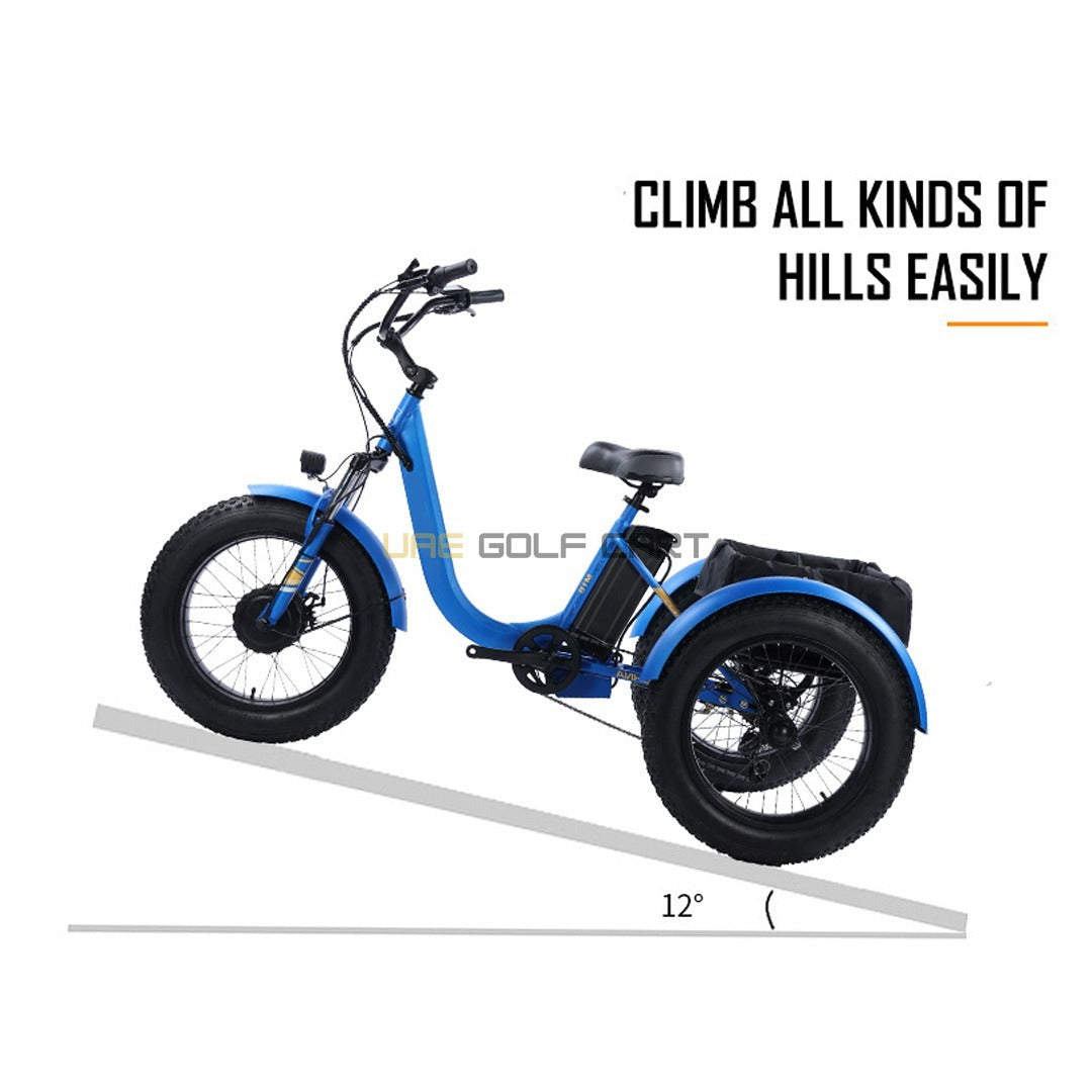 24-Inch Electric Trike Fat Tire 3 Wheel Cargo Electric Bike With Basket - Electric Bikes - Photo 6 | UAE Golf Cart