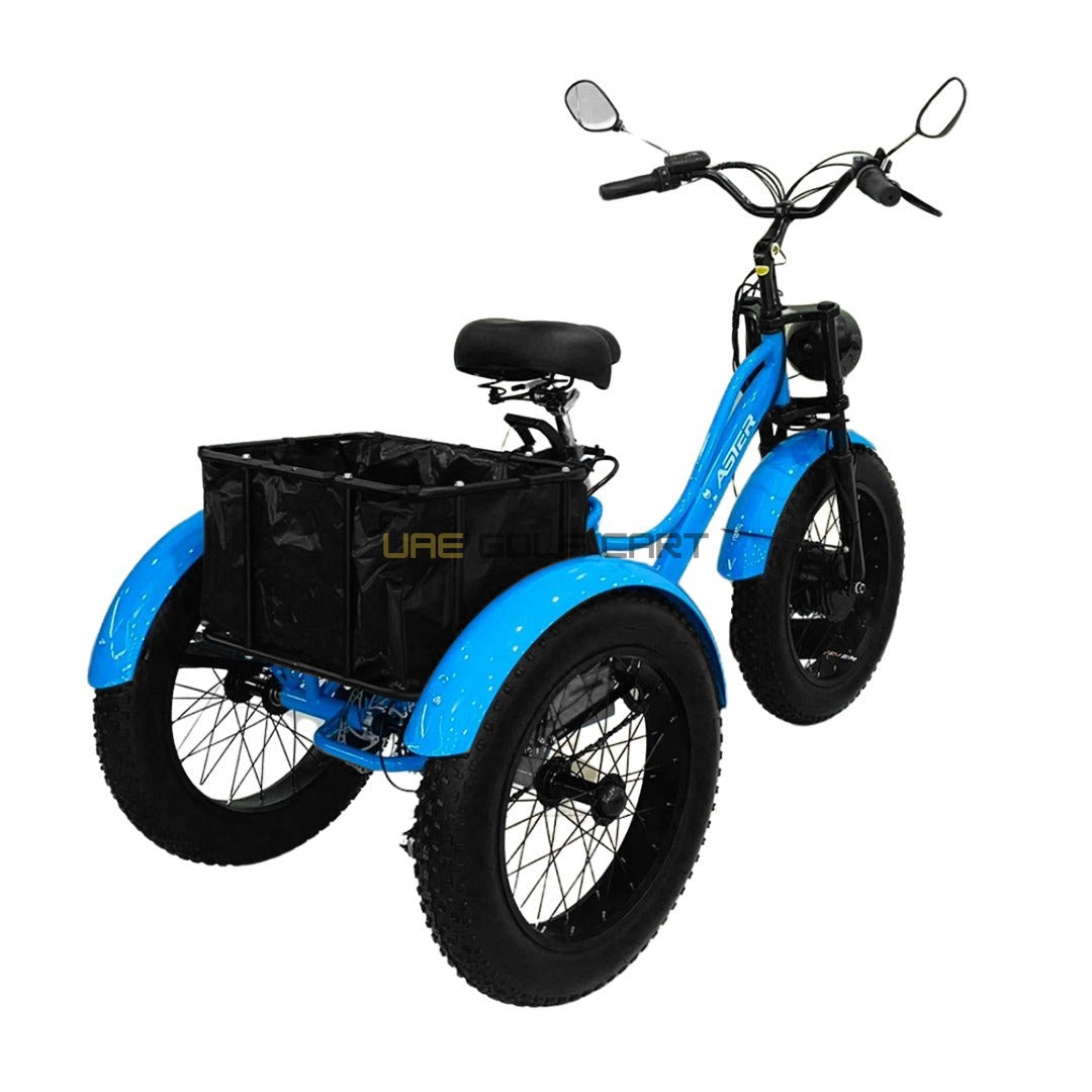 24-Inch Electric Trike Fat Tire 3 Wheel Cargo Electric Bike With Basket - Electric Bikes - Photo 8 | UAE Golf Cart