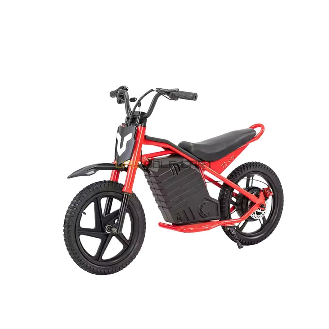 24V 350W Kids Electric Bike 16 Inch Balance Dirt Bike for Ages 5-9 - Electric Dirt Bikes - Photo 4 | UAE Golf Cart