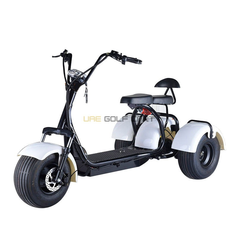 3 Wheel Electric Scooter Trike 60V 12Ah Fat Tire 200kg Capacity - Electric Motorbikes & Mopeds | UAE Golf Cart