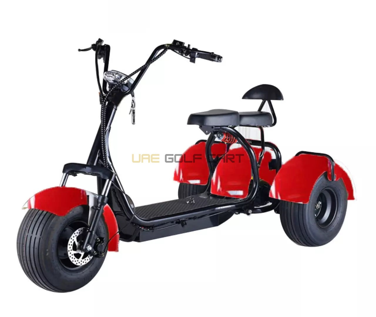 3 Wheel Electric Scooter Trike 60V 12Ah Fat Tire 200kg Capacity - Electric Motorbikes & Mopeds - Close Up | UAE Golf Cart