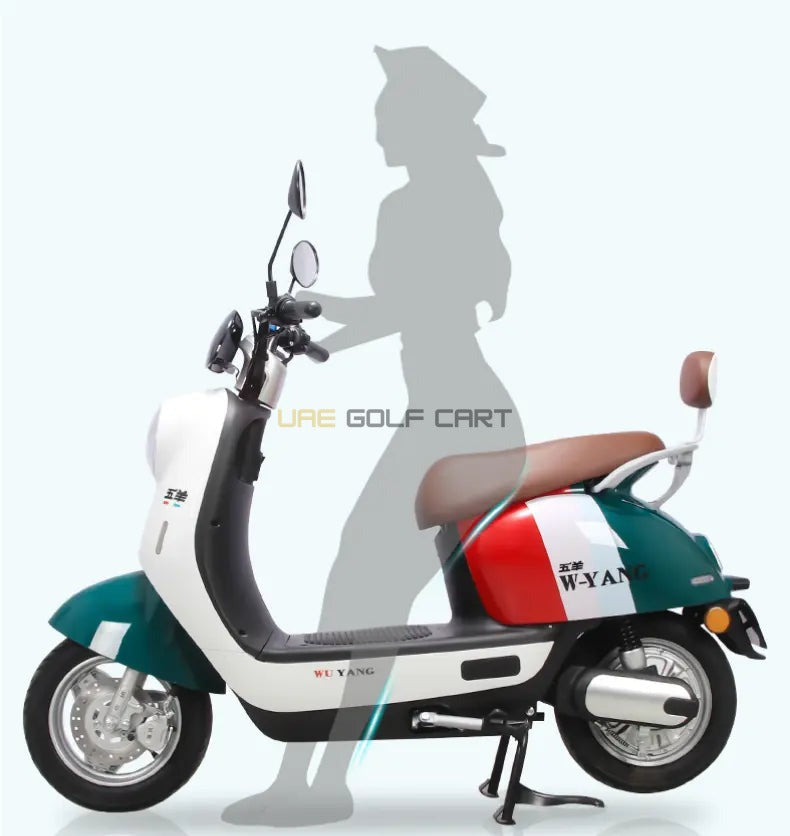48V 1200W Electric Scooter - 40-45 km/h, 200kg Load, Foldable, LED Lights - Electric Grocery Bike | UAE Golf Cart
