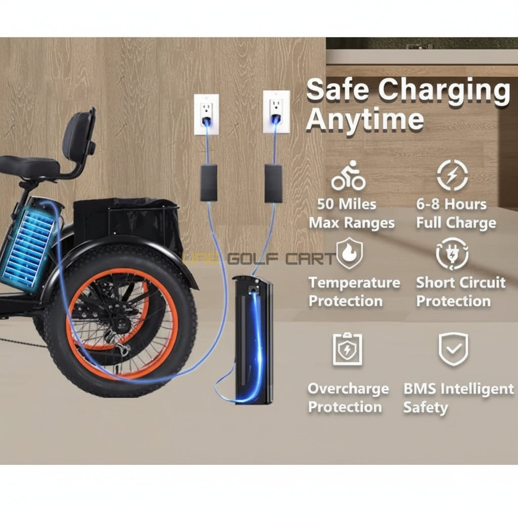 48V 15Ah 750W Electric Tricycle with Fat Tires, 35 km/h Top Speed, 20 inch Wheels - Electric Bikes - Photo 6 | UAE Golf Cart