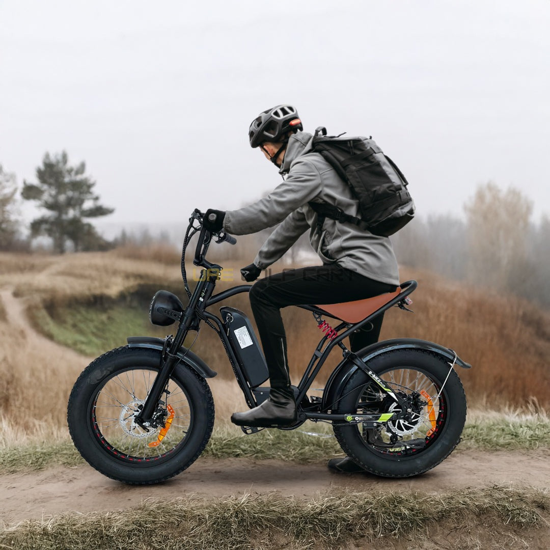 48V 15Ah Electric Mountain Bike with 1000W Motor, 60 Speed, Dual Suspension, 26x4.0 Tires, Disc Brakes - Off Road - Electric Bikes - Photo 10 | UAE Golf Cart