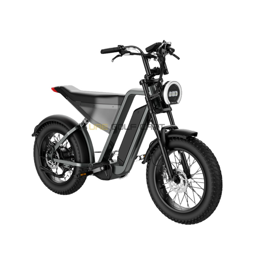 48V 18Ah Electric Bike with 1000W Motor, 20" Fat Tires, 7-Speed Shimano Gears, Hydraulic Disc Brakes, 50 MPH, 330 lbs Load Capacity - Electric Dirt Bikes - Close Up | UAE Golf Cart