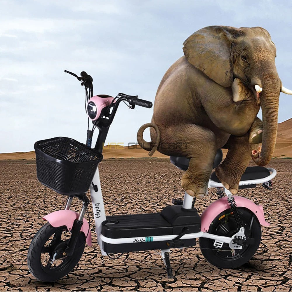 48V 350W 2-Seater Foldable Electric Scooter with Pedal and Removable Battery - Electric Grocery Bike - Photo 24 | UAE Golf Cart