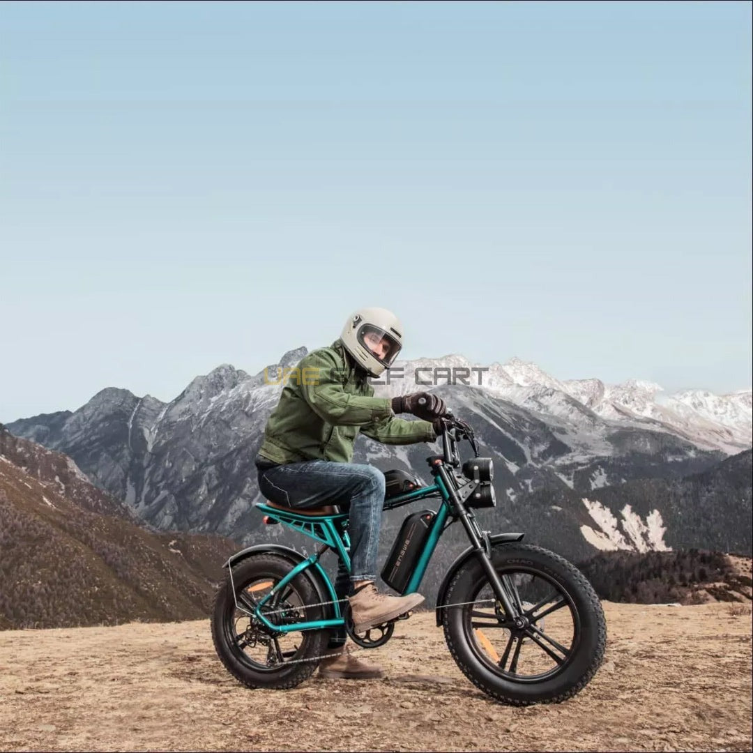 48V 750W Electric Fat Bike with 13Ah Removable Battery, 25 km/h Speed, 20x4.0 Fat Tires, Shimano 7-Gear - Electric Bikes - Photo 6 | UAE Golf Cart