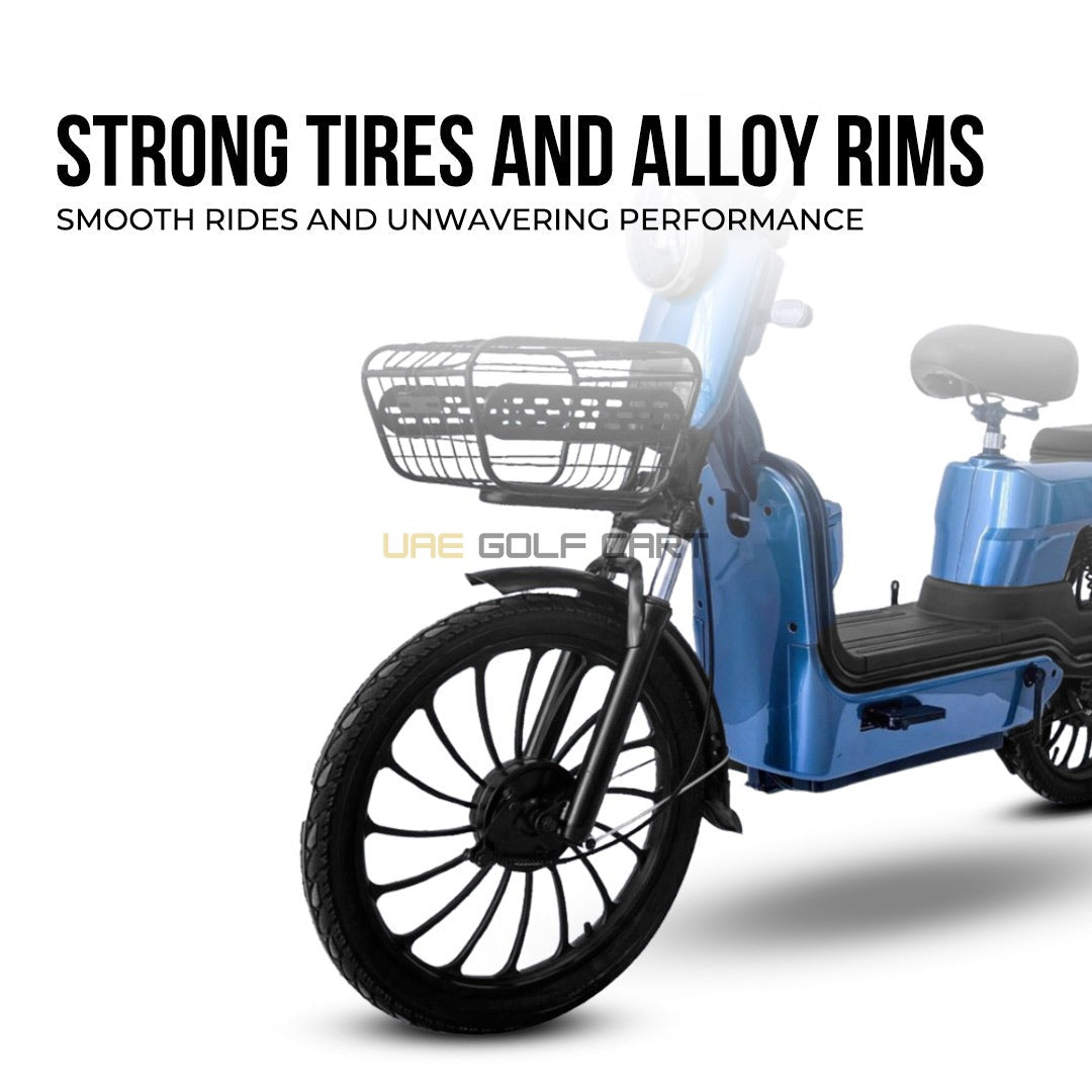 500W 48V 20Ah Electric Scooter with Seat, 20 inch Tires, Disk Brakes - Off-road Private Use - Electric Bikes - Close Up | UAE Golf Cart