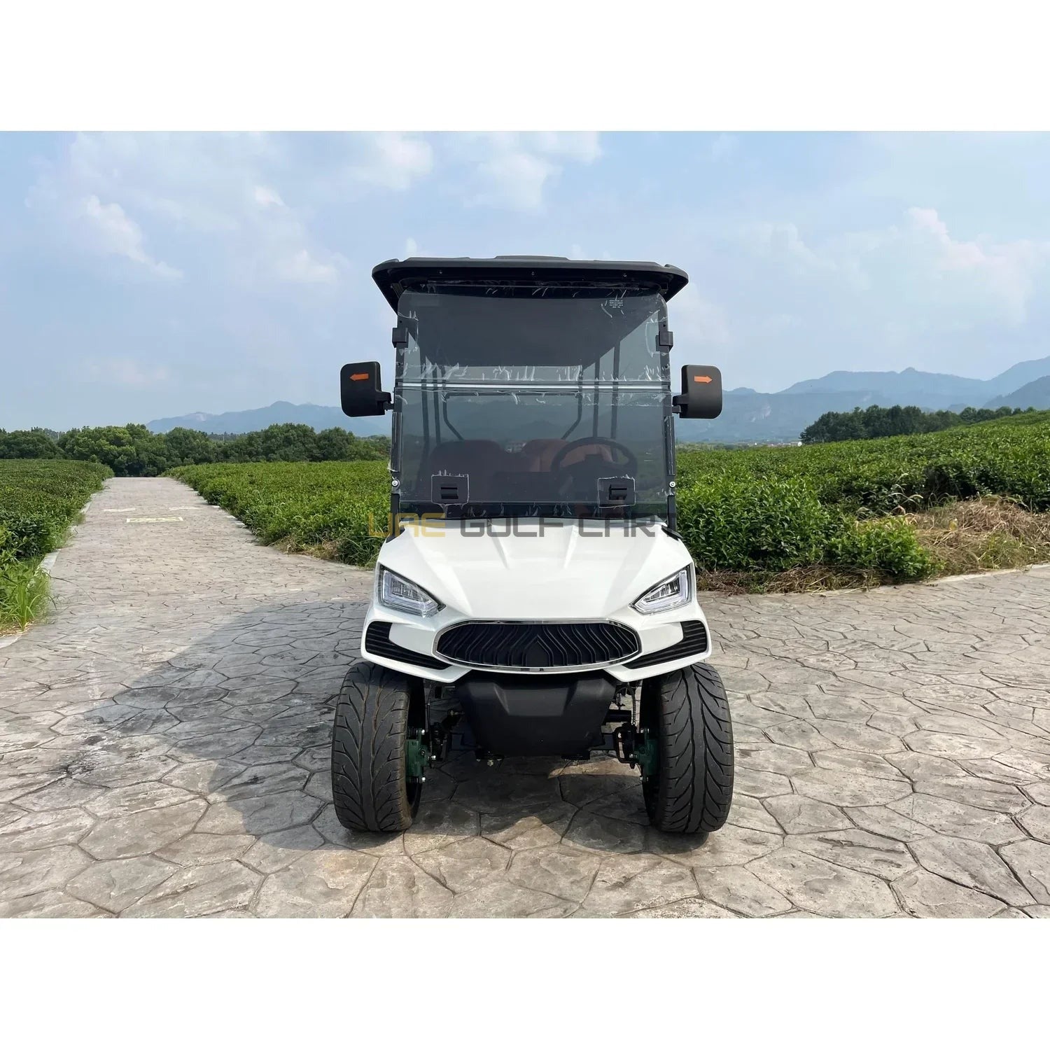 6 Passenger On Road Electric Golf Cart with Lithium Battery and Camera - Normal Golf Carts - 6 Seater - Photo 6 | UAE Golf Cart