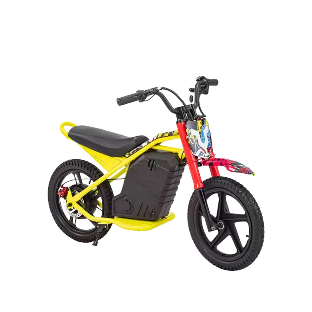 UAE Golf Cart 24V 350W Kids Electric Bike 16 Inch Balance Dirt Bike for Ages 5-9 - View 18