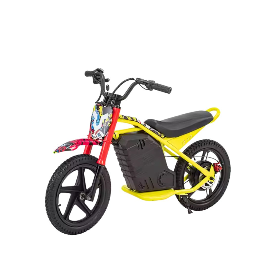 UAE Golf Cart 24V 350W Kids Electric Bike 16 Inch Balance Dirt Bike for Ages 5-9 - View 20
