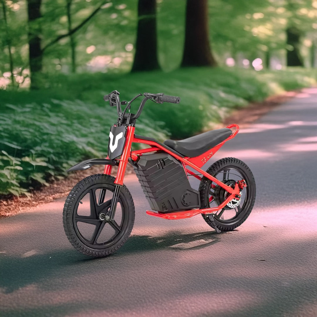 UAE Golf Cart 24V 350W Kids Electric Bike 16 Inch Balance Dirt Bike for Ages 5-9 - View 14