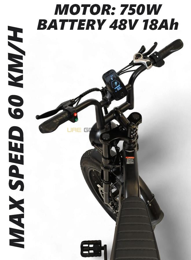 Electric Bike for Adults 48V Removable Battery Pedal Assist E-Bike 750W Motor - Electric Bikes - Photo 19 | UAE Golf Cart
