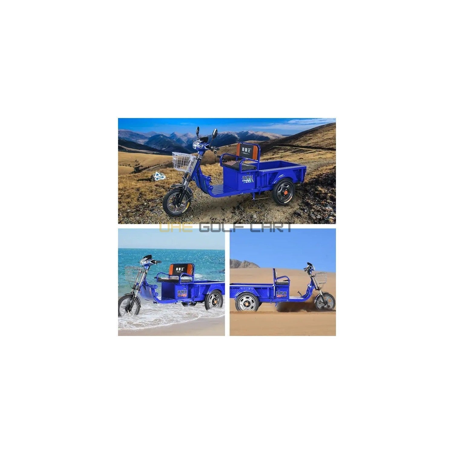 Electric Cargo Tricycle UAE Golf Cart 1.2M 48V 800W 300kg Disc Brakes LED Display 3 Seats UAE - Cargo Bikes | UAE Golf Cart