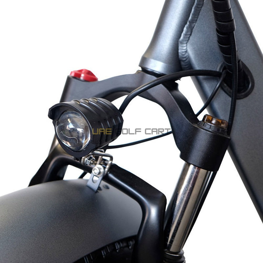 Electric Trike Bike with Removable 48V 15Ah Battery, 750W Motor, 250kg Load, 35-45km/h Speed - Electric Grocery Bike - Photo 13 | UAE Golf Cart