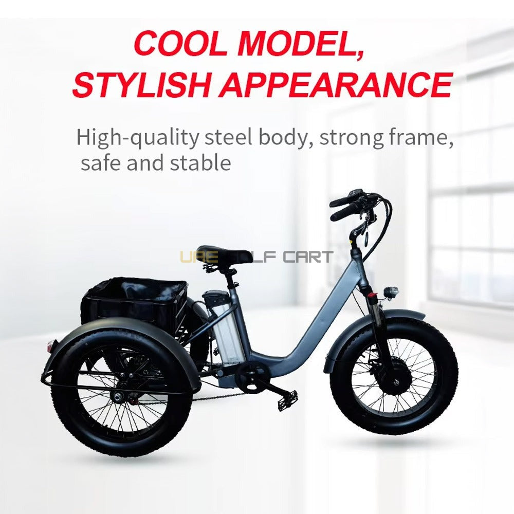 Electric Trike Bike with Removable 48V 15Ah Battery, 750W Motor, 250kg Load, 35-45km/h Speed - Electric Grocery Bike - Photo 7 | UAE Golf Cart