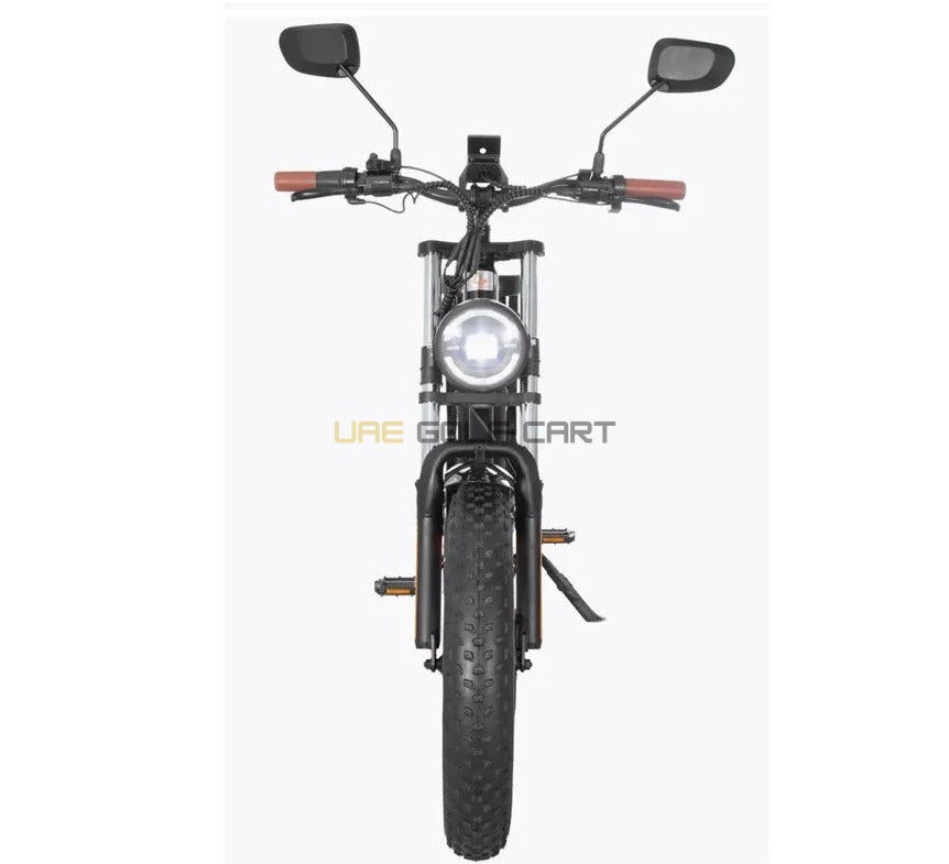 Harley Style Fat Tire Electric Bike with Removable 48V Lithium Battery and 1000W Dual Motor - Electric Bikes - Photo 8 | UAE Golf Cart