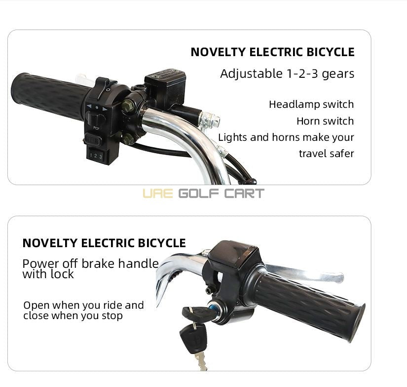 Lightweight Electric Bike with Pedal Assist, 48V, 20-inch Wheels, 350W Motor - Electric Bikes | UAE Golf Cart