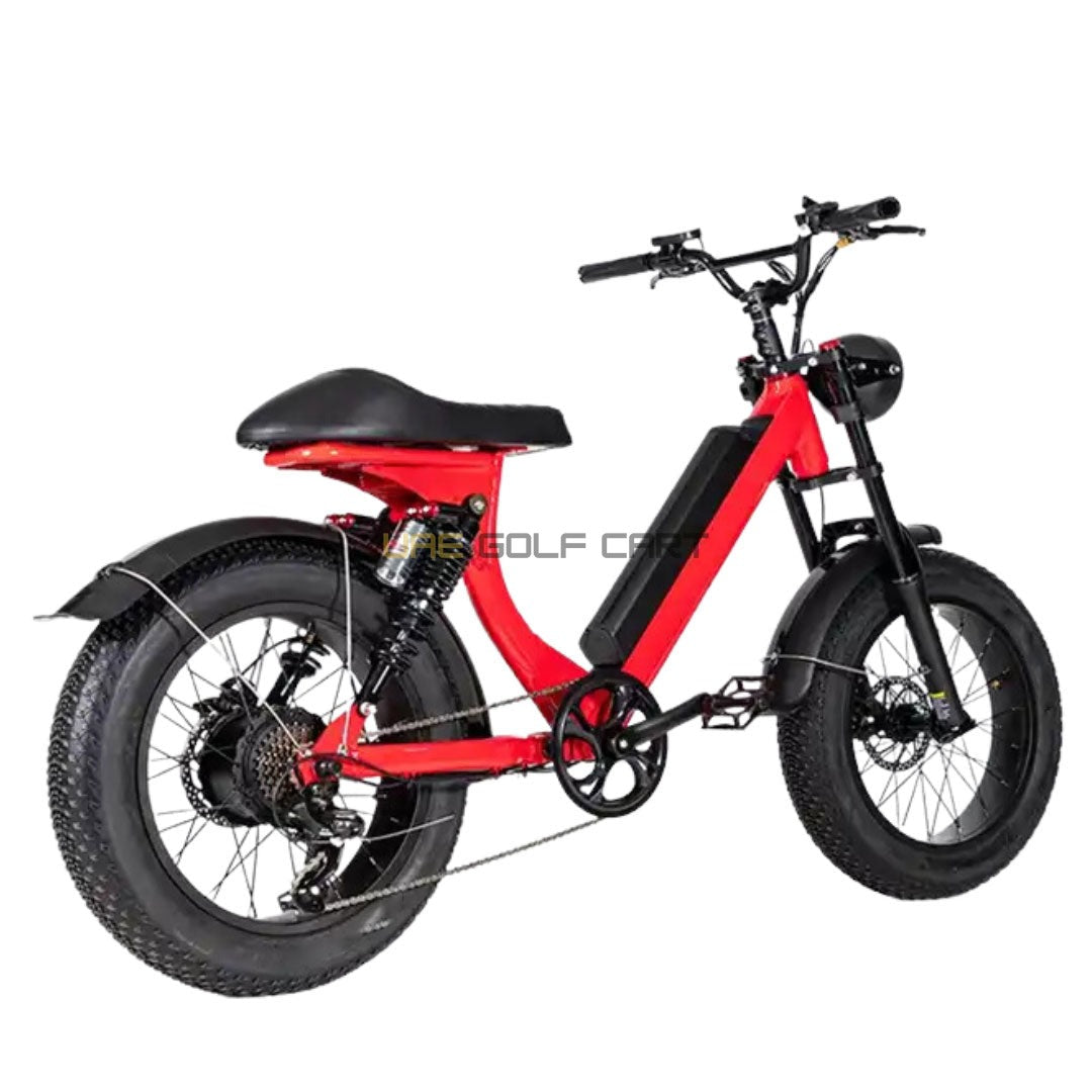 Turbo Fat Tyre Electric Bike 48V with Removable Battery for Off-Road Adventures - Electric Bikes | UAE Golf Cart