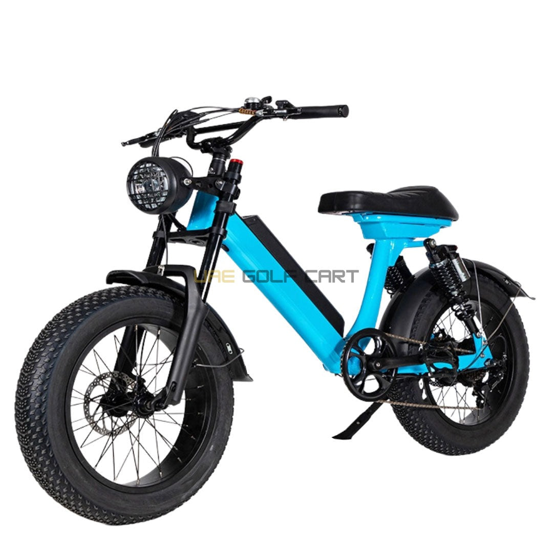 Turbo Fat Tyre Electric Bike 48V with Removable Battery for Off-Road Adventures - Electric Bikes - Photo 11 | UAE Golf Cart