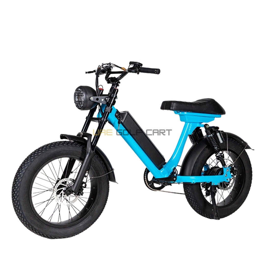 Turbo Fat Tyre Electric Bike 48V with Removable Battery for Off-Road Adventures - Electric Bikes - Photo 12 | UAE Golf Cart