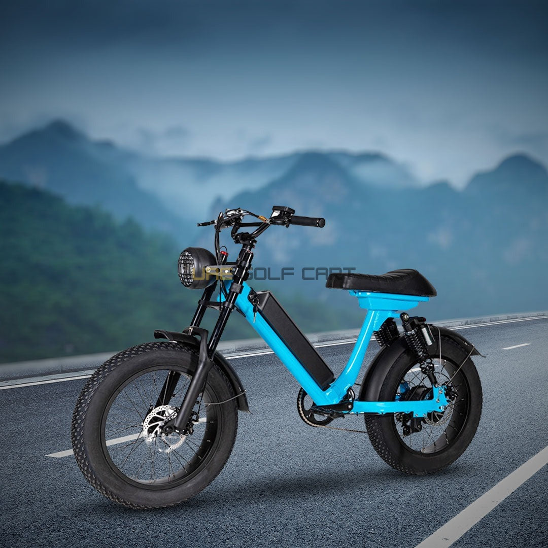 Turbo Fat Tyre Electric Bike 48V with Removable Battery for Off-Road Adventures - Electric Bikes - Photo 14 | UAE Golf Cart