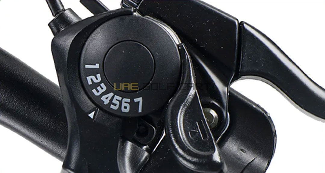 Turbo Fat Tyre Electric Bike 48V with Removable Battery for Off-Road Adventures - Electric Bikes - Photo 25 | UAE Golf Cart