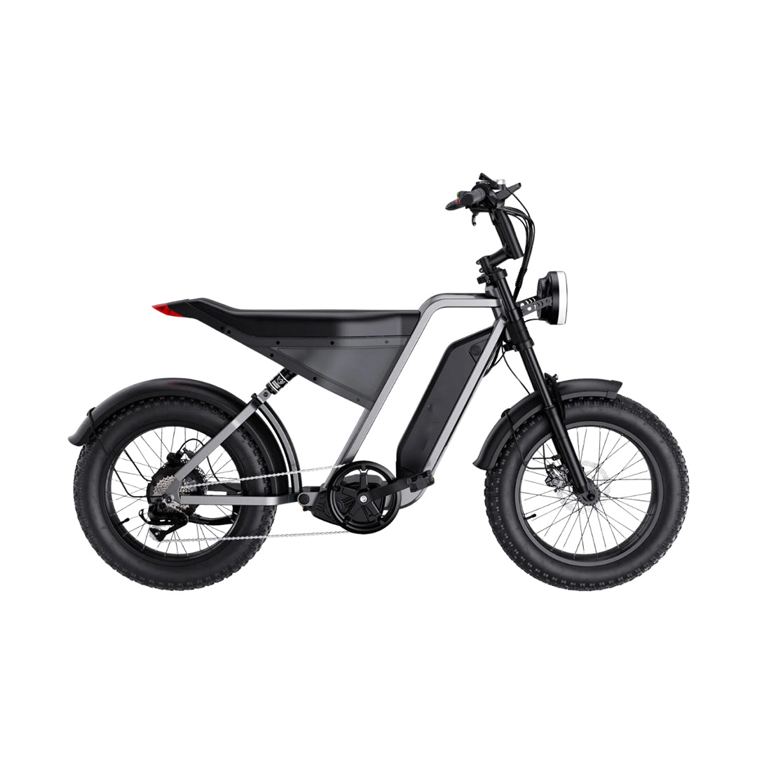 UAE Golf Cart 48V 18Ah Aluminum Alloy Electric Dirt Bike with 1000W Motor and 20 Inch Fat Tires - View 4
