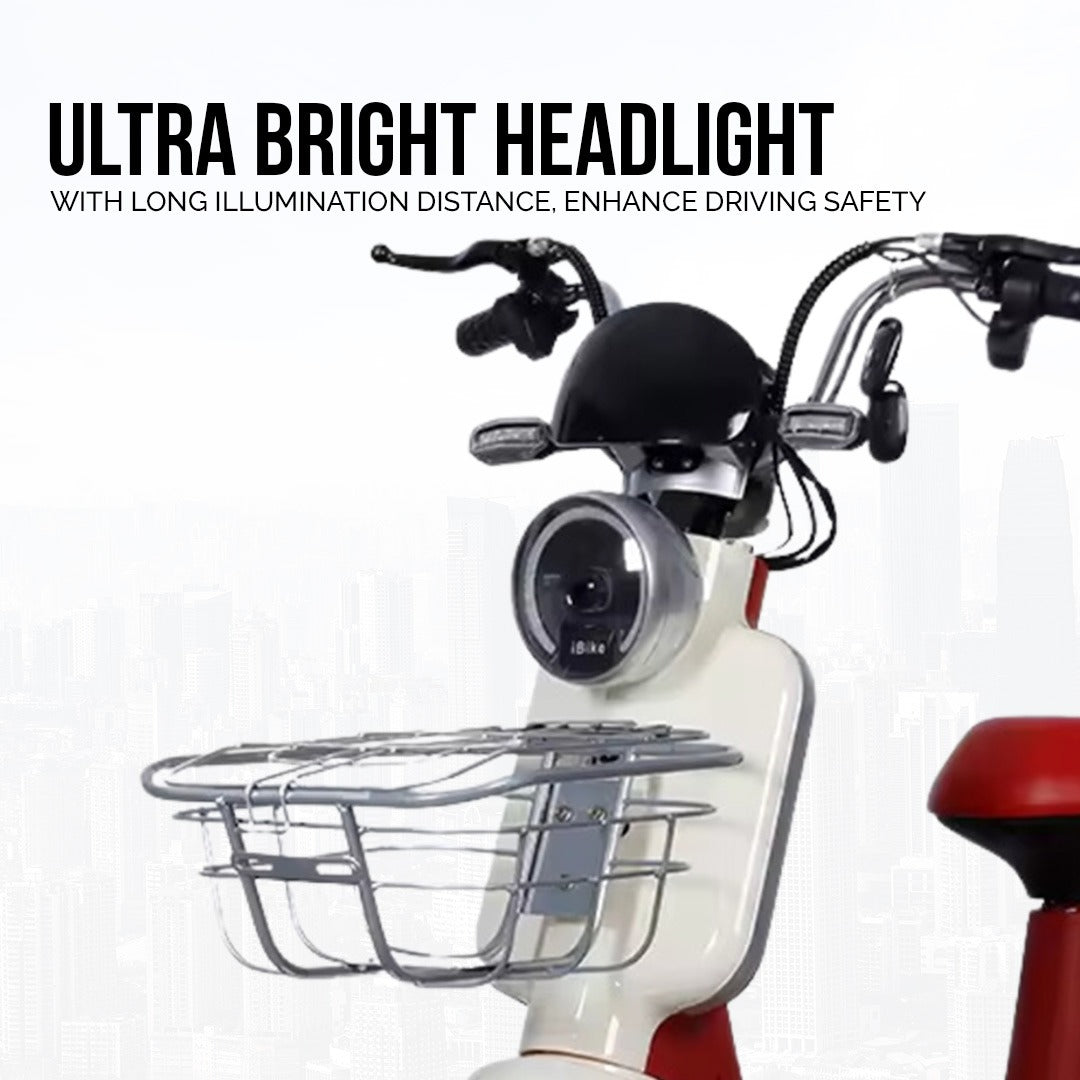 UAE Golf Cart 48V 450W Two-Seat Electric Pedal Scooter with Basket - View 8