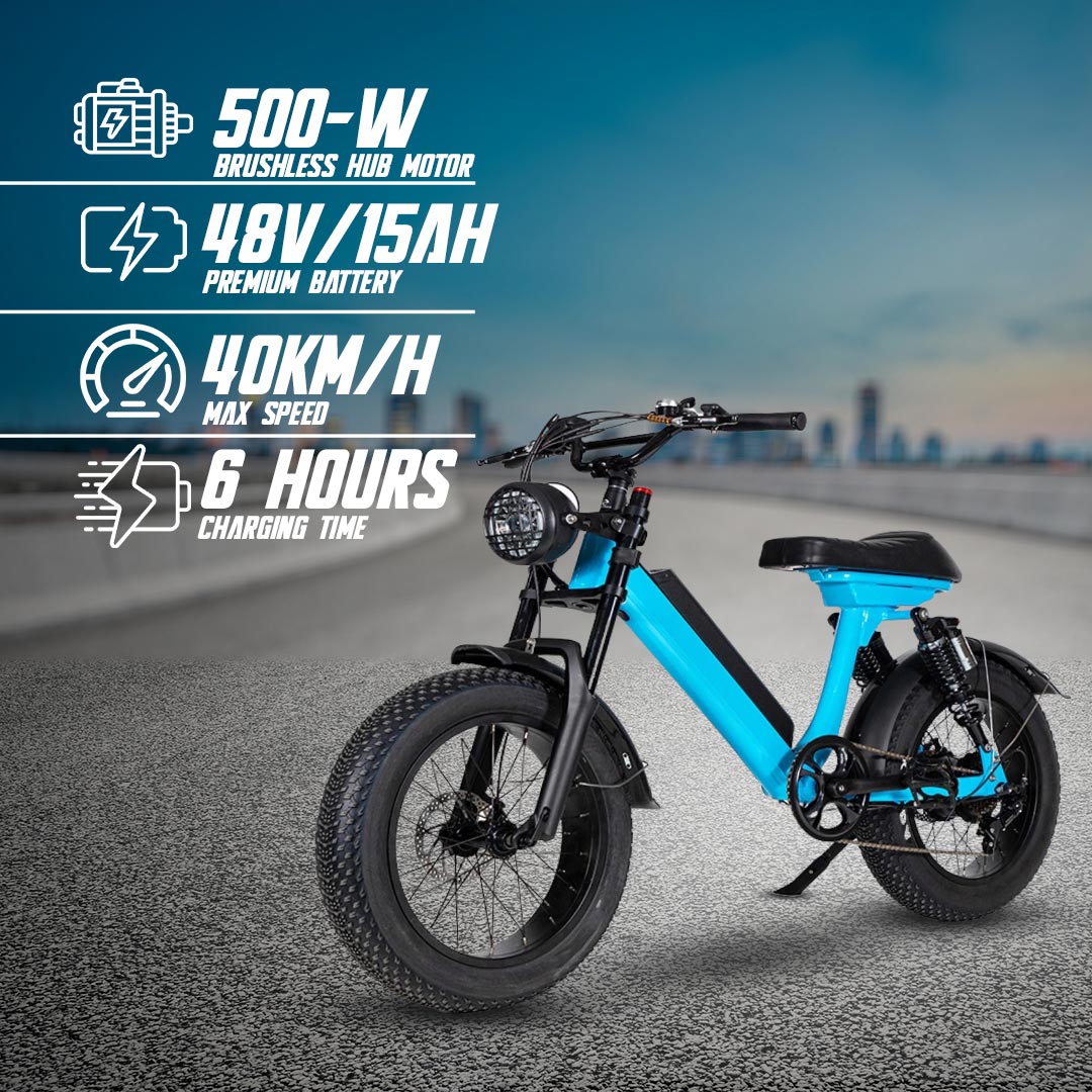 UAE Golf Cart 48V Fat Tyre Electric Bike with Removable Battery, 500W Motor, 40 KMPH Speed, and 20x4 Inch Tyres for Off-Road Adventures - View 15