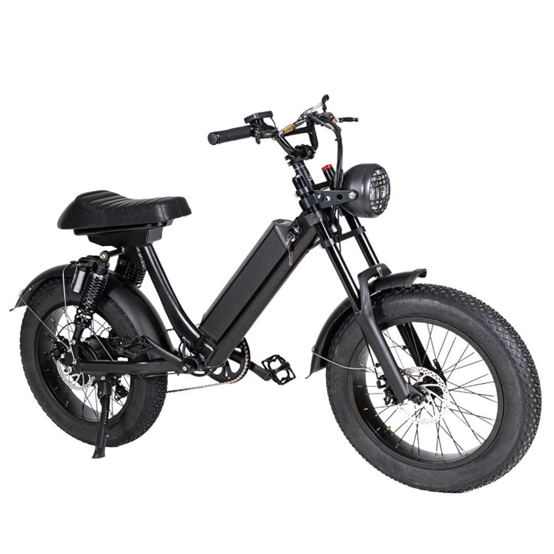 UAE Golf Cart 48V Fat Tyre Electric Bike with Removable Battery, 500W Motor, 40 KMPH Speed, and 20x4 Inch Tyres for Off-Road Adventures - View 26