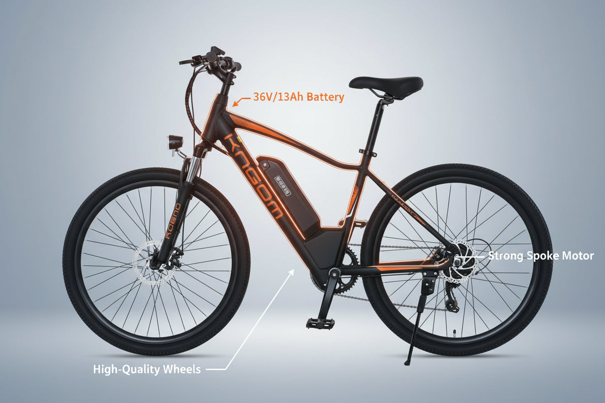 UAE Golf Cart Electric Bike 36V 13Ah Removable Battery City Rider with Seat - View 13
