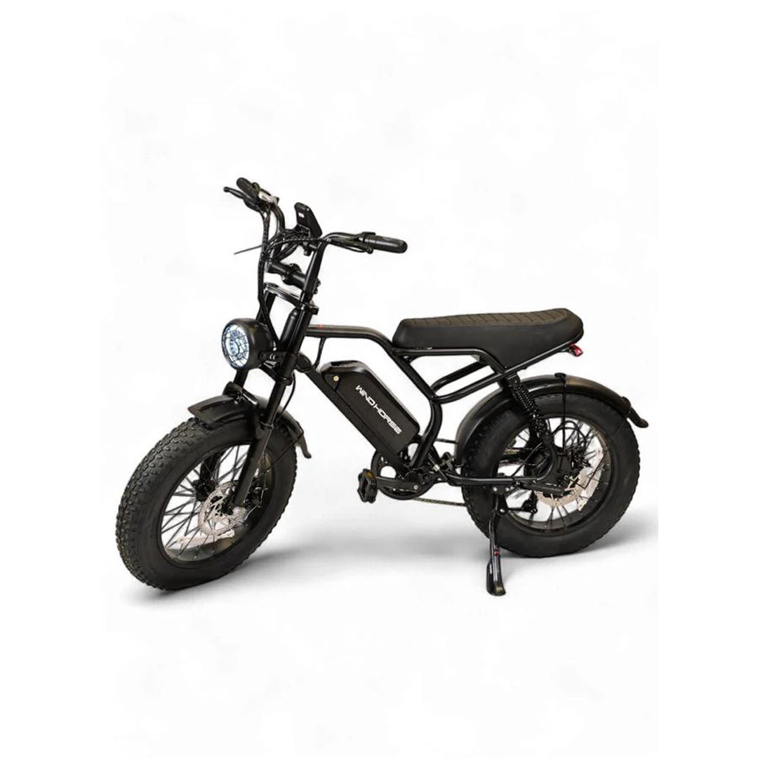 UAE Golf Cart Electric Bike for Adults 48V Removable Battery Pedal Assist E-Bike 750W Motor - View 21