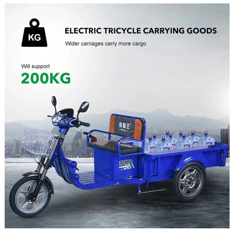 UAE Golf Cart - Electric Cargo Tricycle UAE Golf Cart 1.2M 48V 800W 300kg Disc Brakes LED Display 3 Seats UAE - View 10