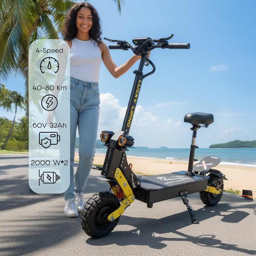UAE Golf Cart Electric Scooter Night Fury Plus 60V 33Ah Dual Motor 2000W x2 Speed 85 km/h Long Mileage - View 13