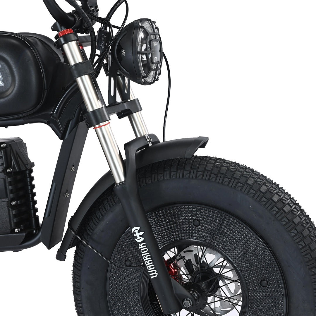 UAE Golf Cart Fat Harley Electric Bike 48V 1000W with Removable Battery - View 6