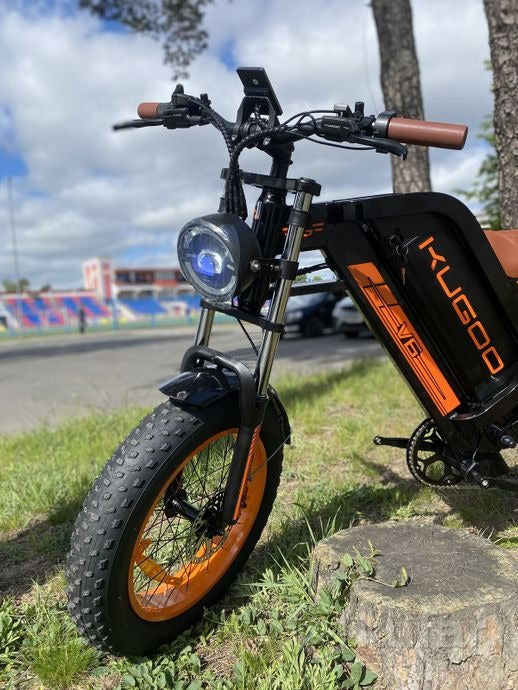 UAE Golf Cart Harley Style Fat Tire Electric Bike with Removable 48V Lithium Battery and 1000W Dual Motor - View 10