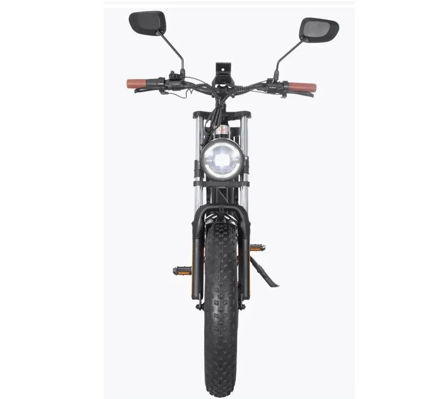 UAE Golf Cart Harley Style Fat Tire Electric Bike with Removable 48V Lithium Battery and 1000W Dual Motor - View 7
